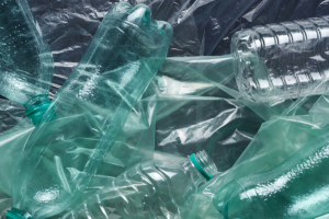 collect 3 plastic bottles photo